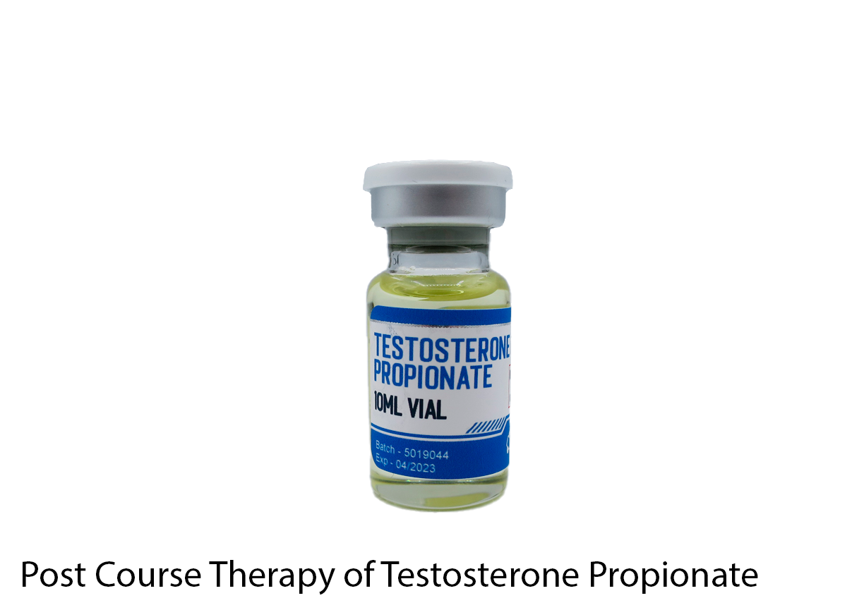 Post Course Therapy of Testosterone Propionate